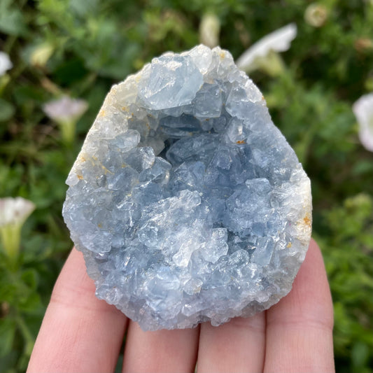 Natural celestite crystal cluster egg