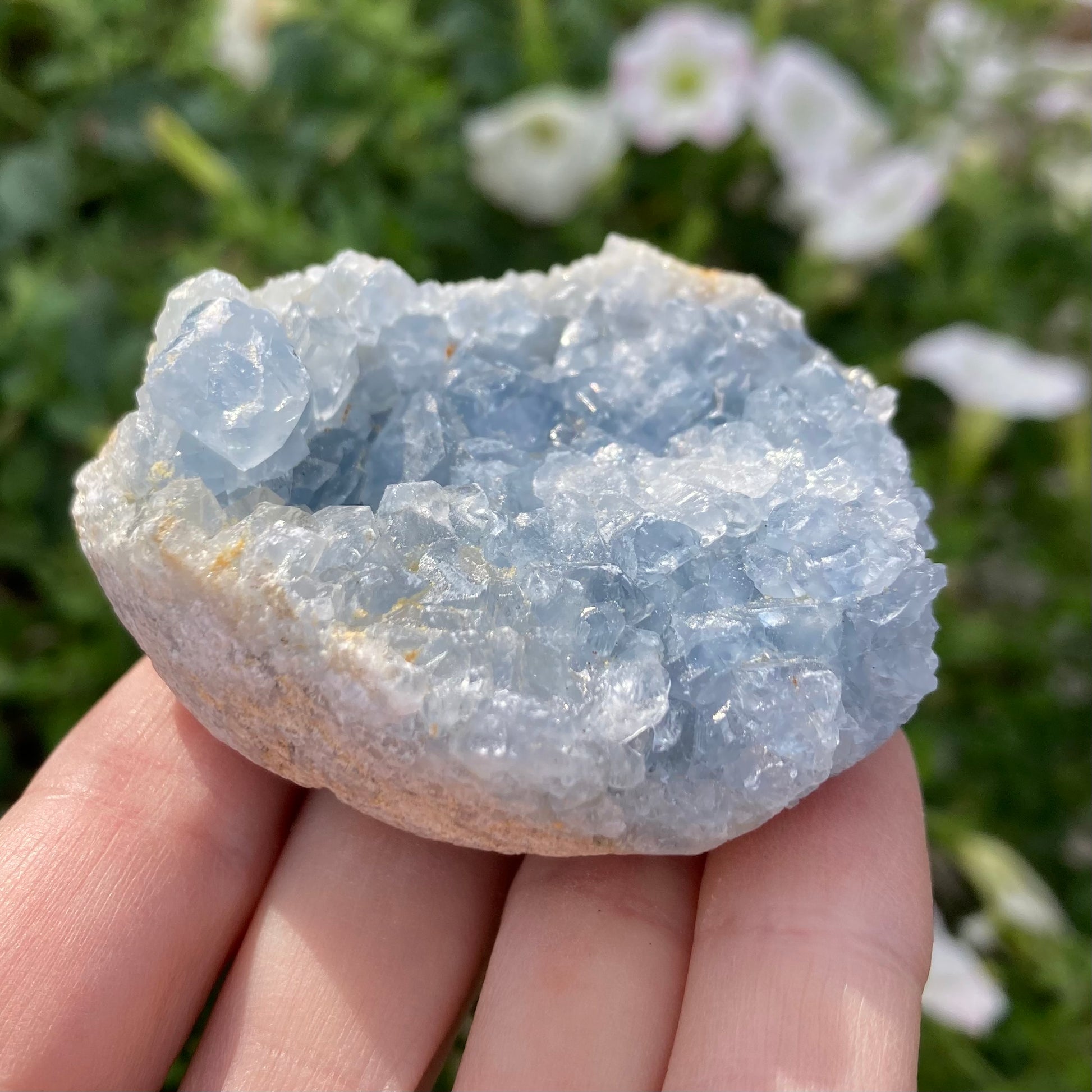 Side view of celestite crystal