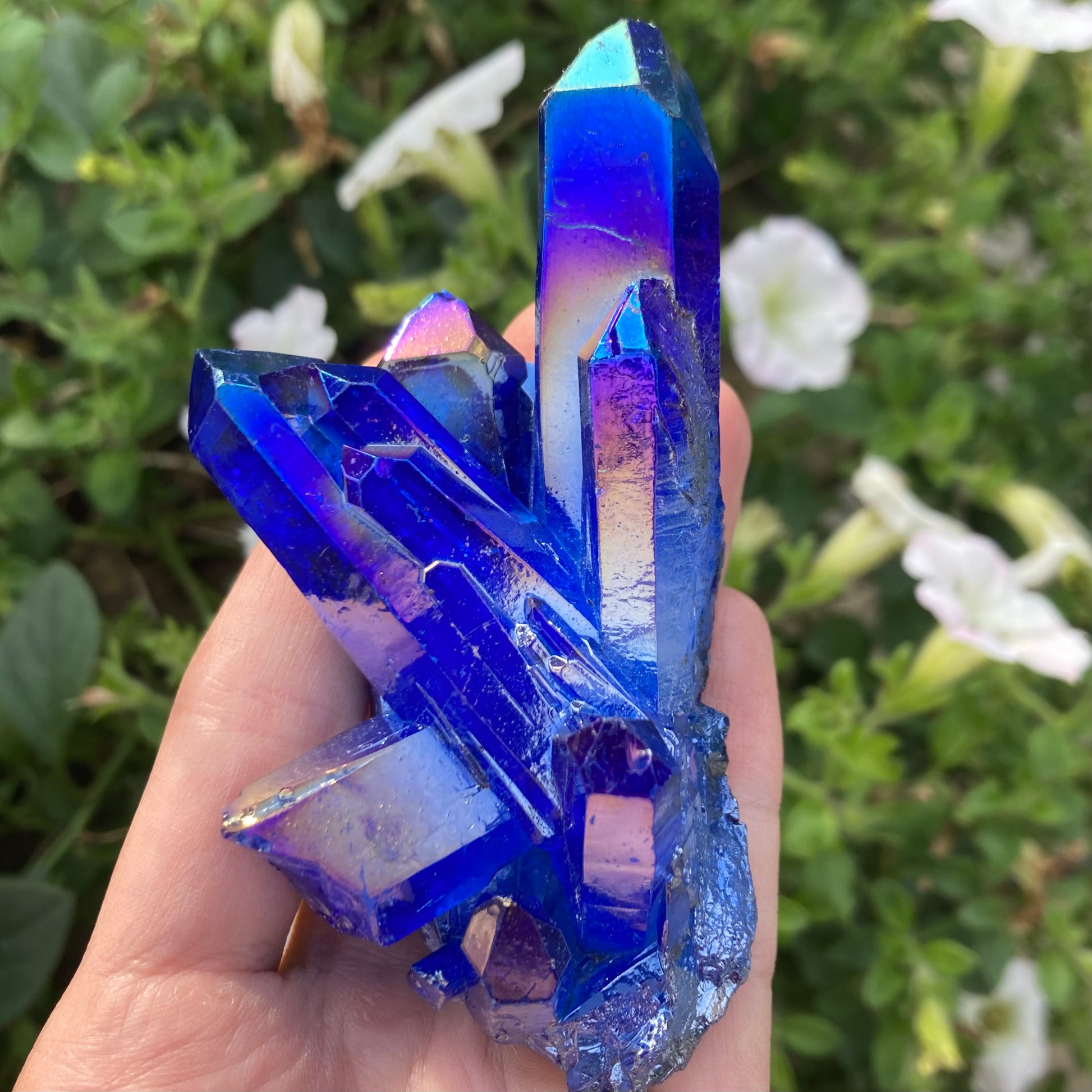 Blue aura quartz crystal cluster