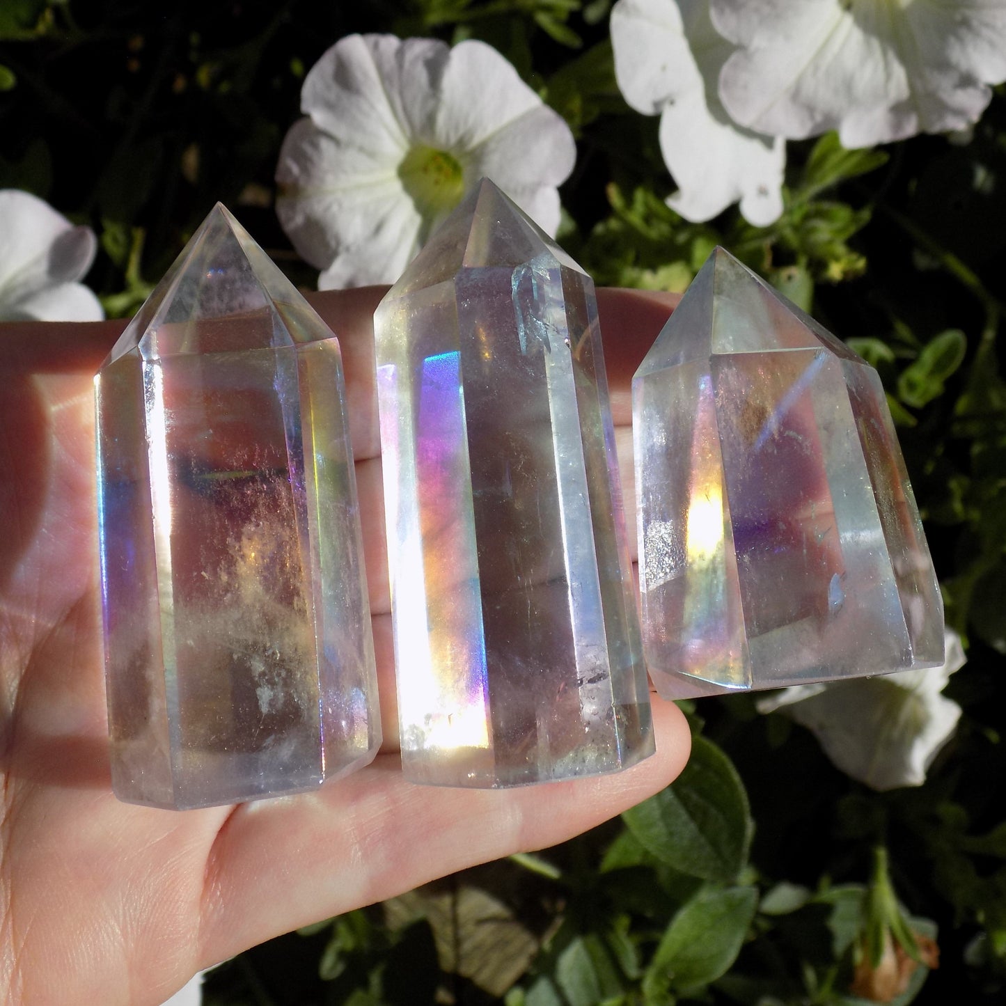 Clear aura quartz crystals showing rainbow colours when the light hits them