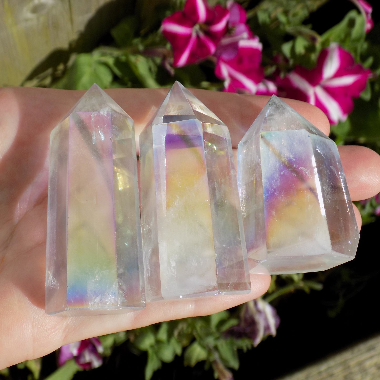 Three angel aura quartz points, with flowers in background