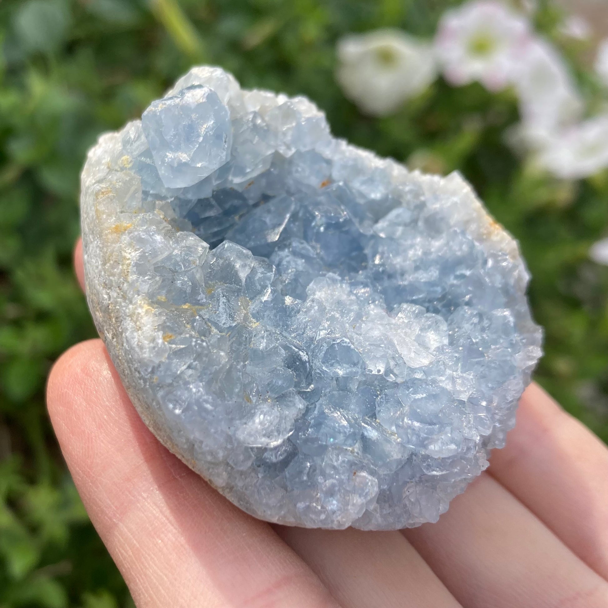 Blue celestite crystal cluster in hand