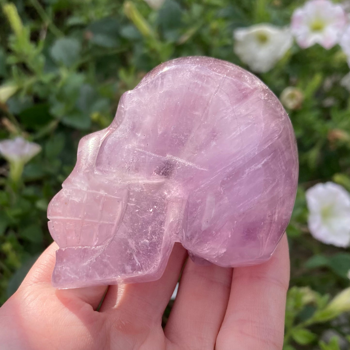 Amethyst skull showing teeth