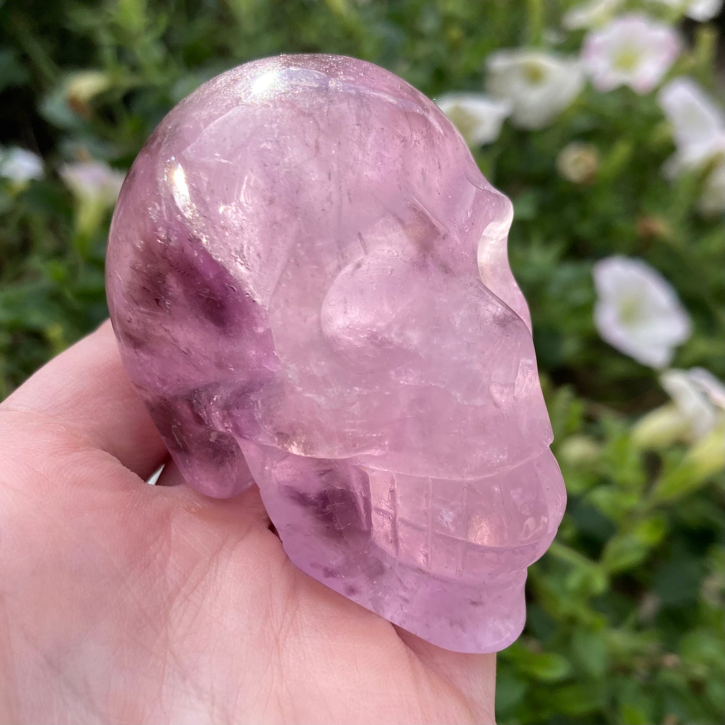 Amethyst crystal skull with flowers in background