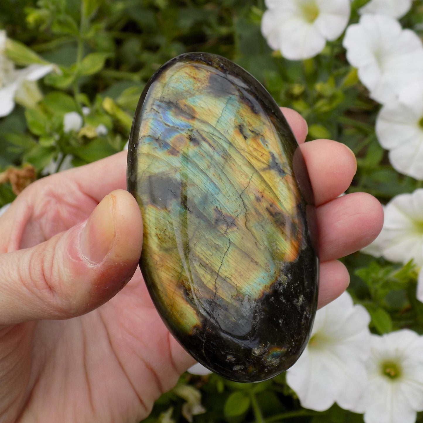 Oval labradorite crystal for healing and meditation