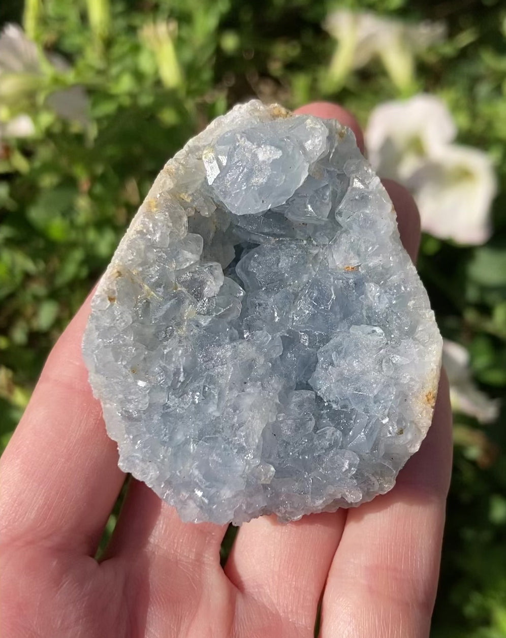 Raw celestite geode crystal video